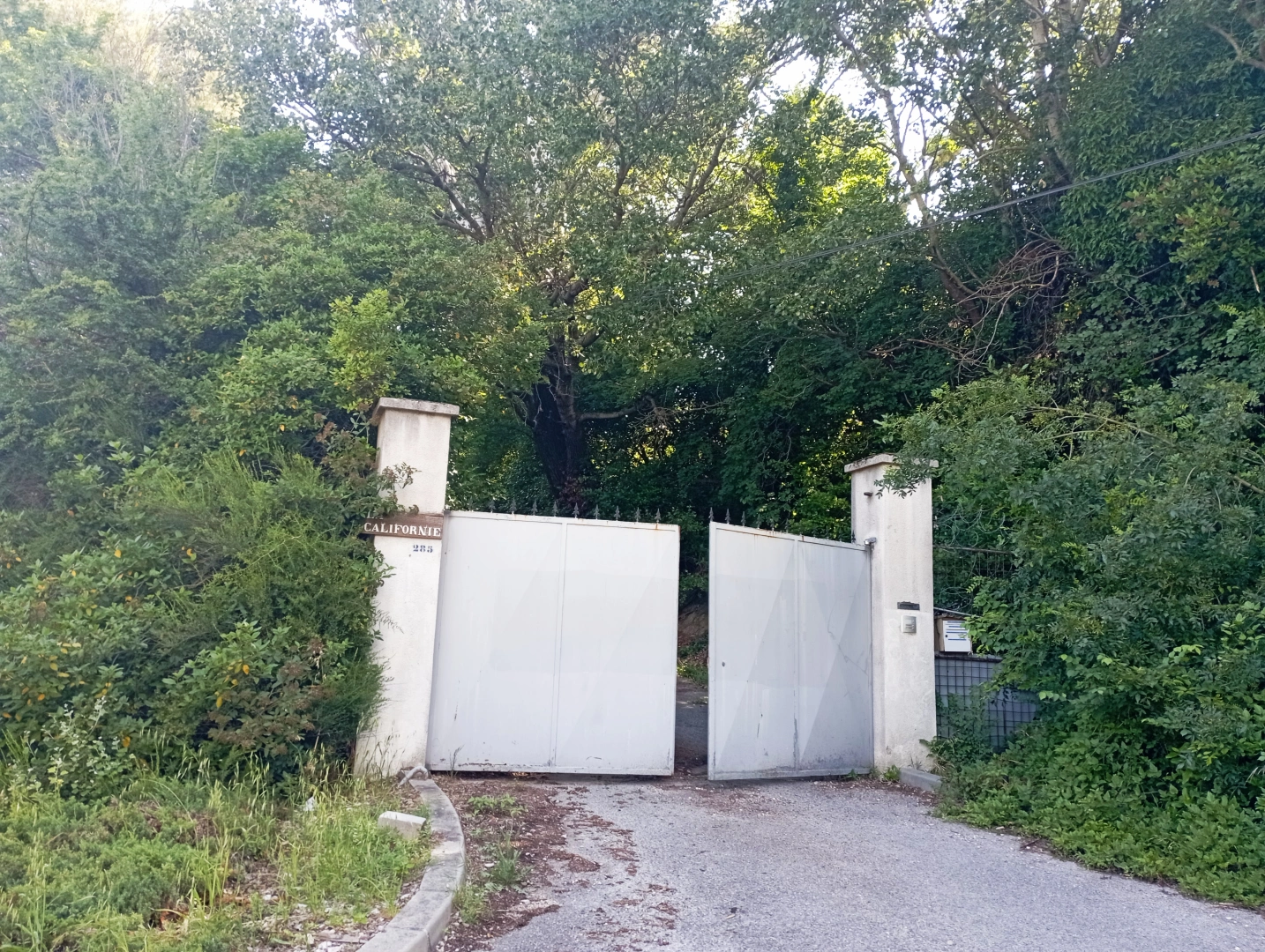 property
